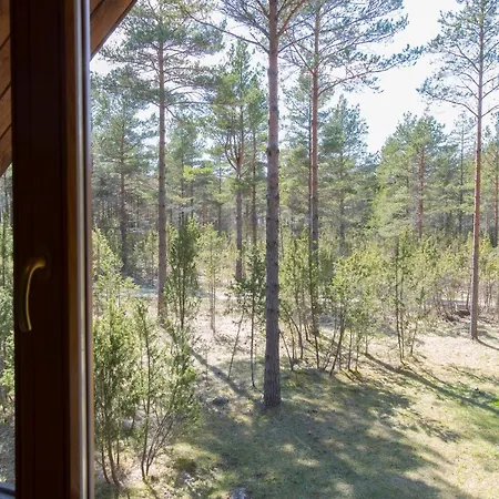 Pootsmani Maja Paatsalu